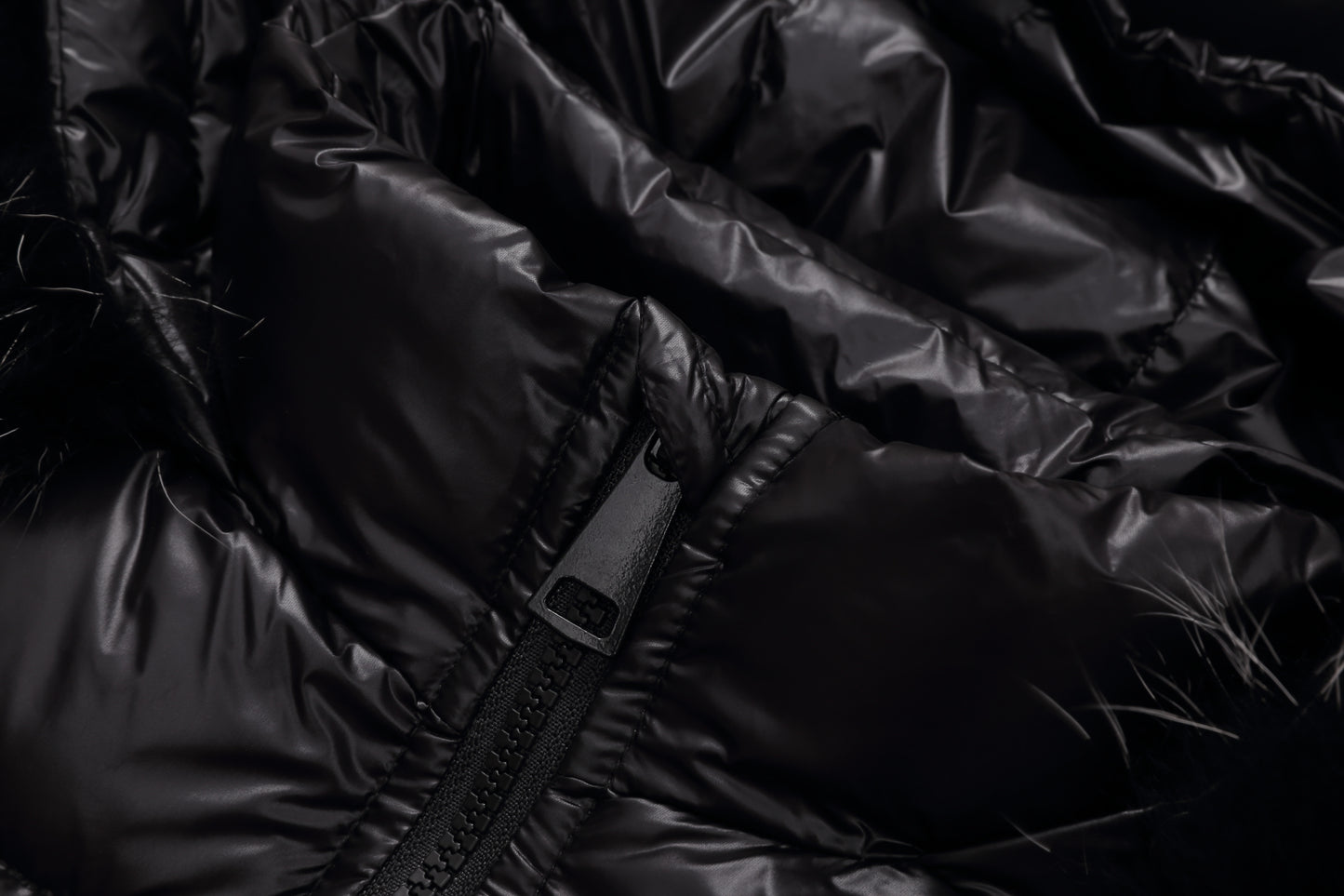 IcePlume Coat