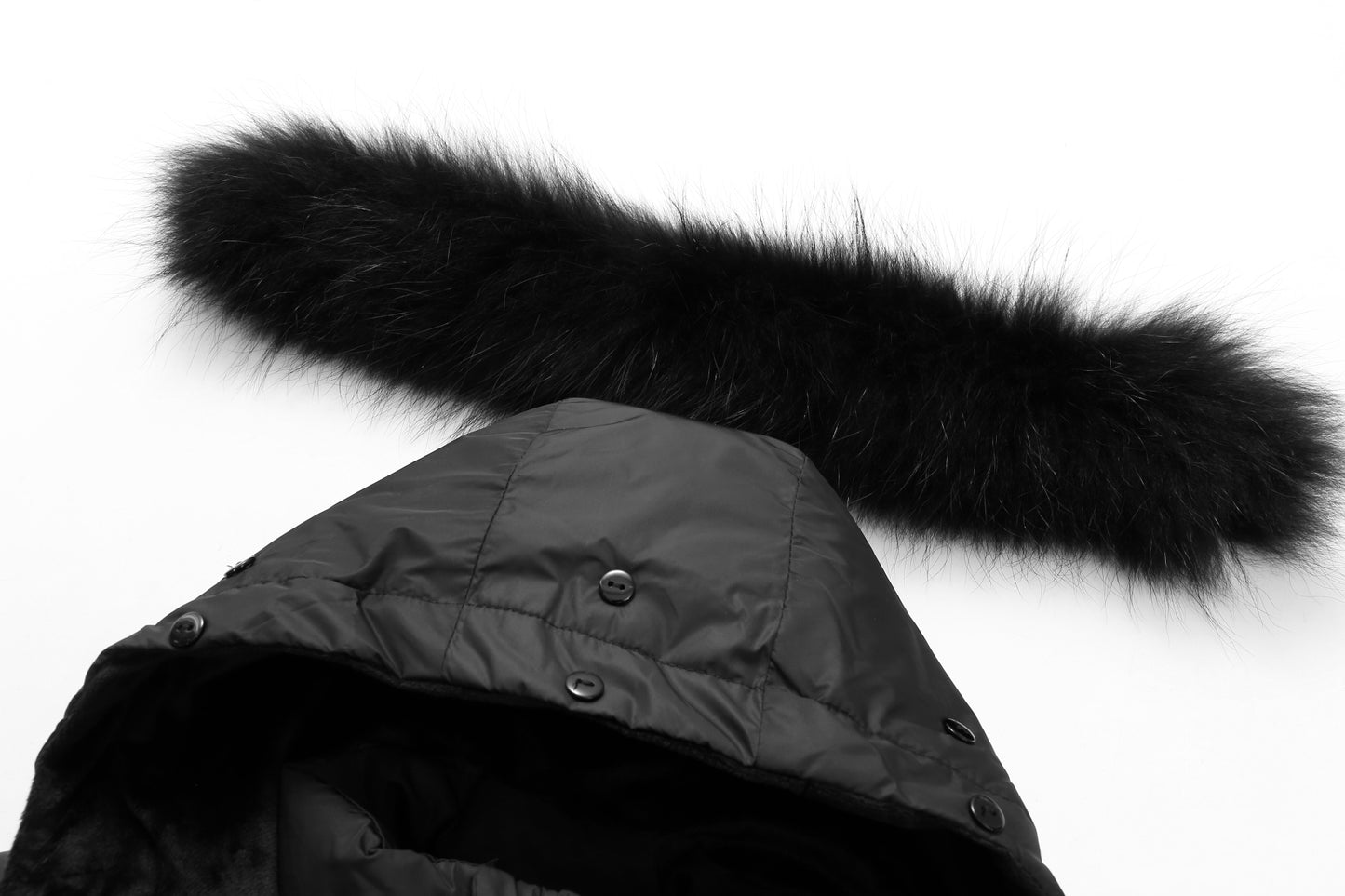 Glacierfeather